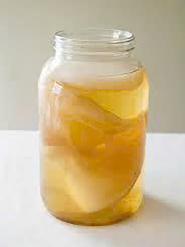 Kombucha